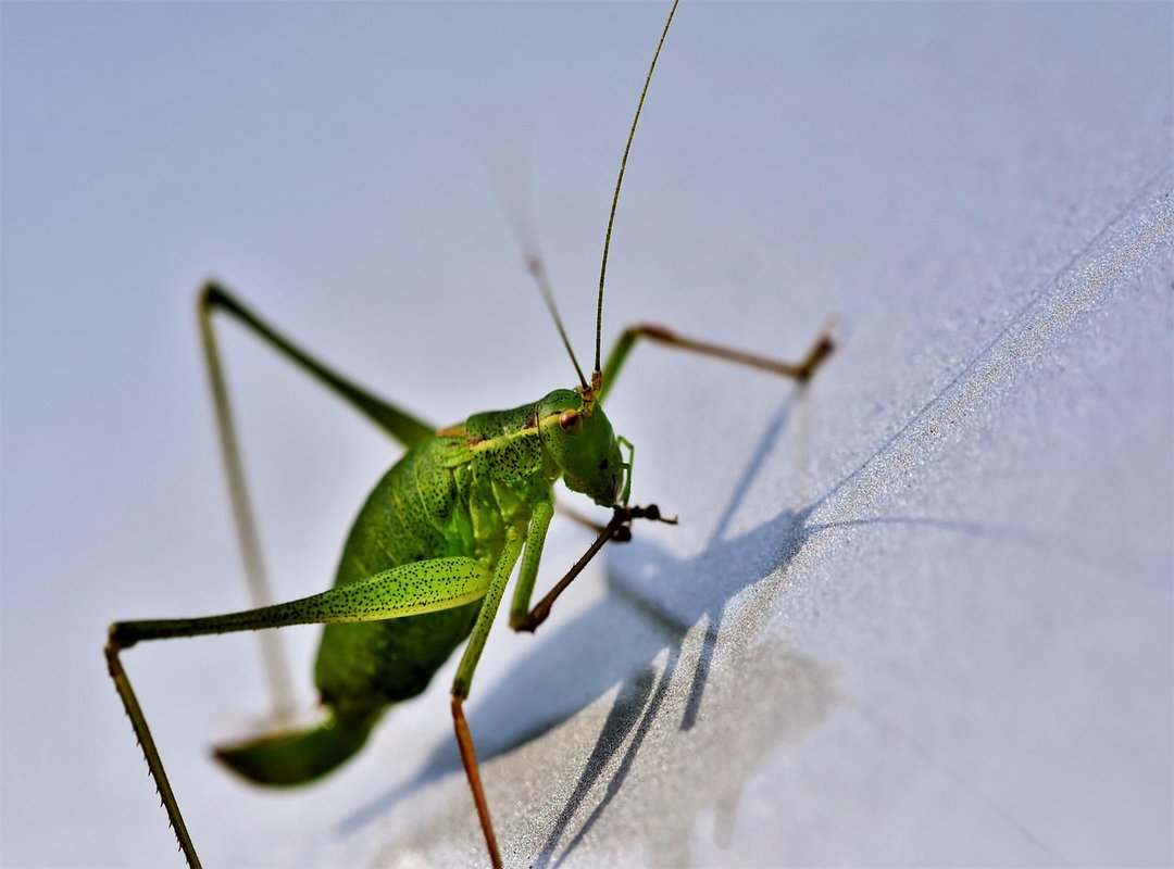 Coolest Honeymoon Destinations Nitkafacts