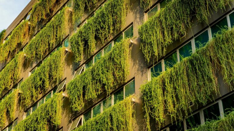 Sustainability Audit